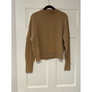 Cashmere Everlane Mockneck Sweater